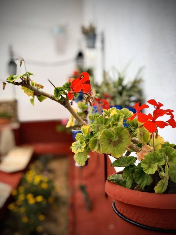 La Jara Casa Rural Guest House Hinojosa del Duque Екстериор снимка